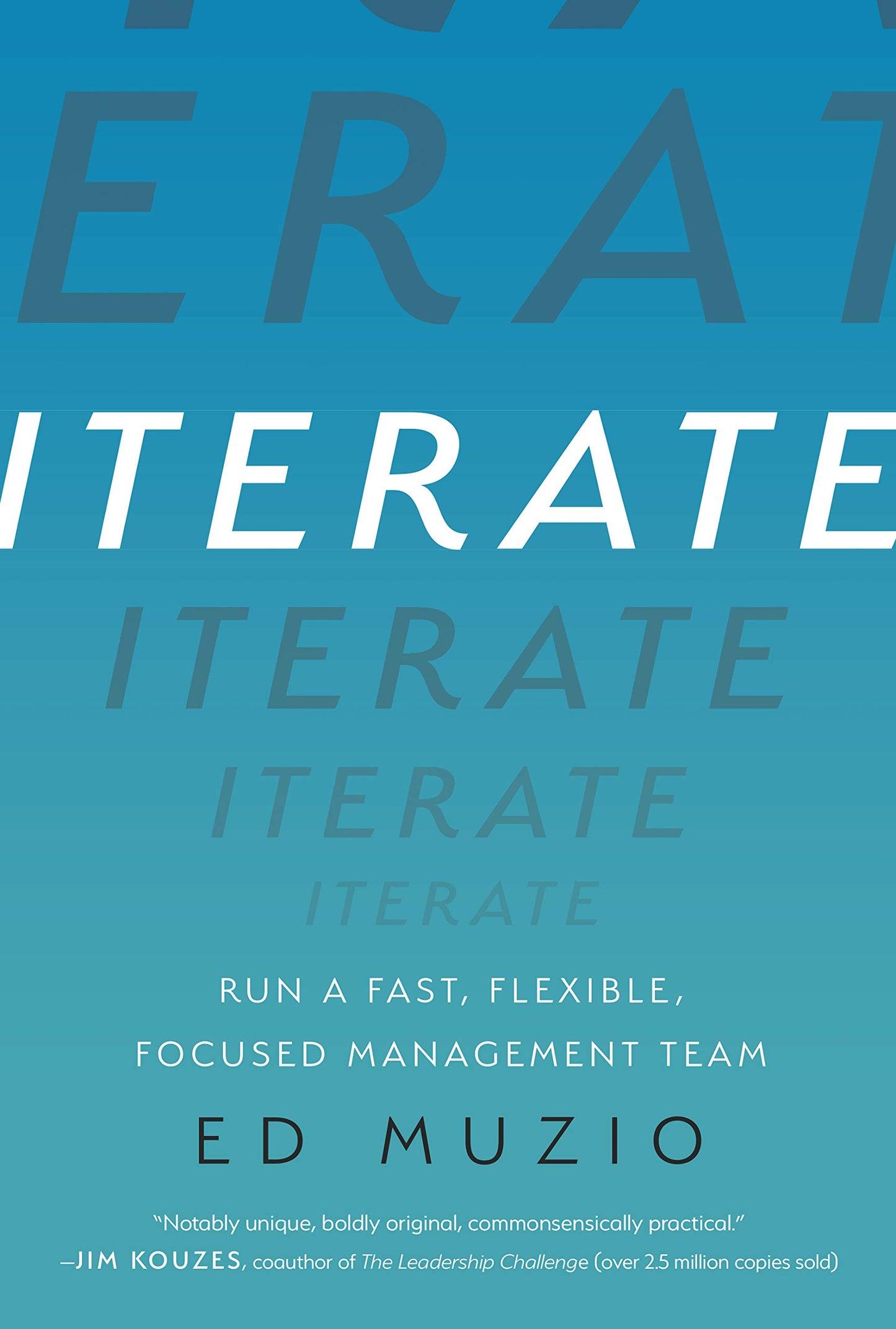Iterate: Run a Fast, Flexible, Focused Management Team - 1336