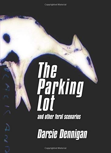 The Parking Lot and other feral scenarios