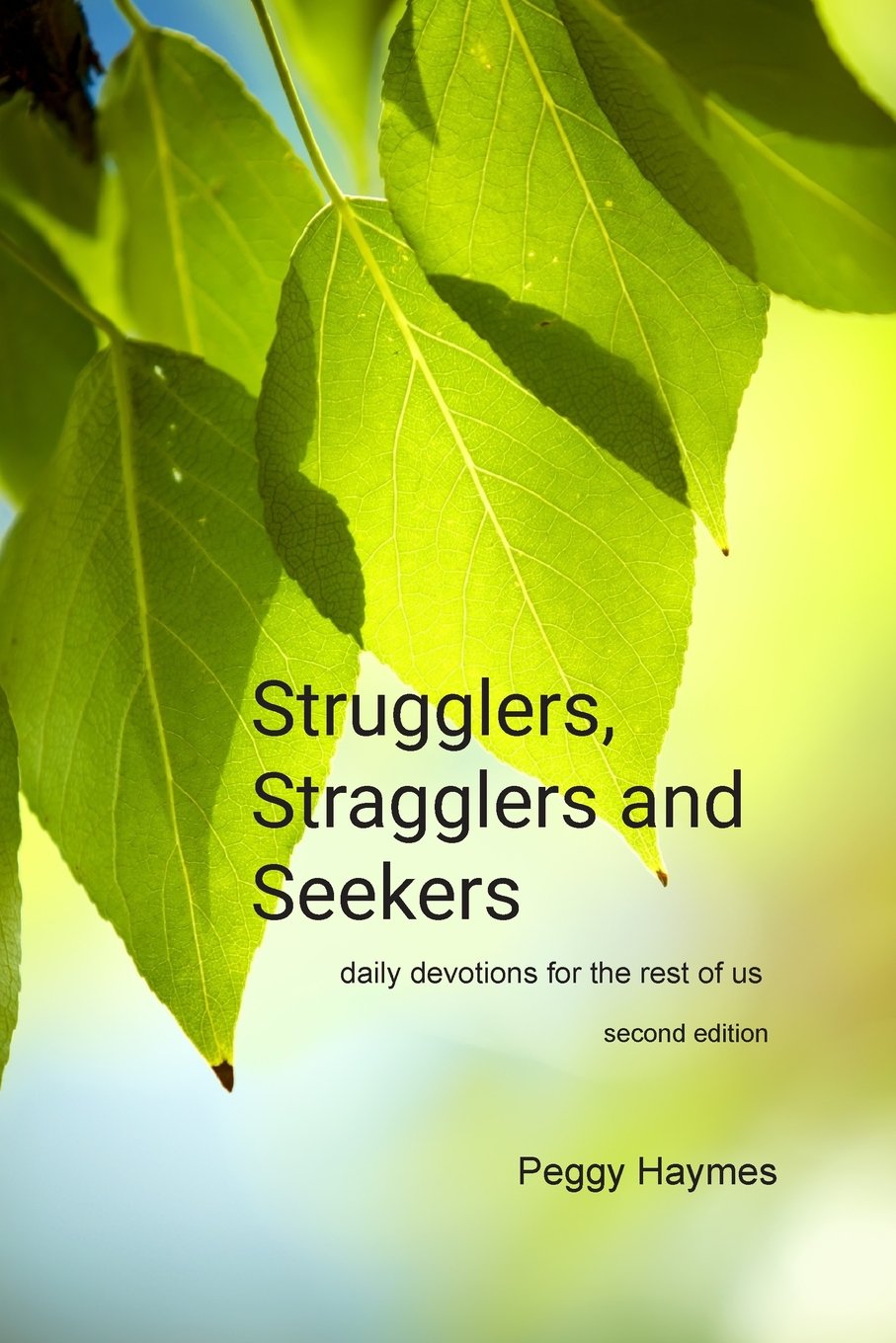 Strugglers, Straggler and Seekers (Second Edition): daily devotions for the rest of us - 9449
