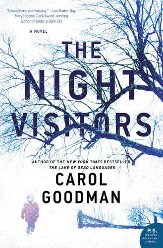 The night visitors: a novel
