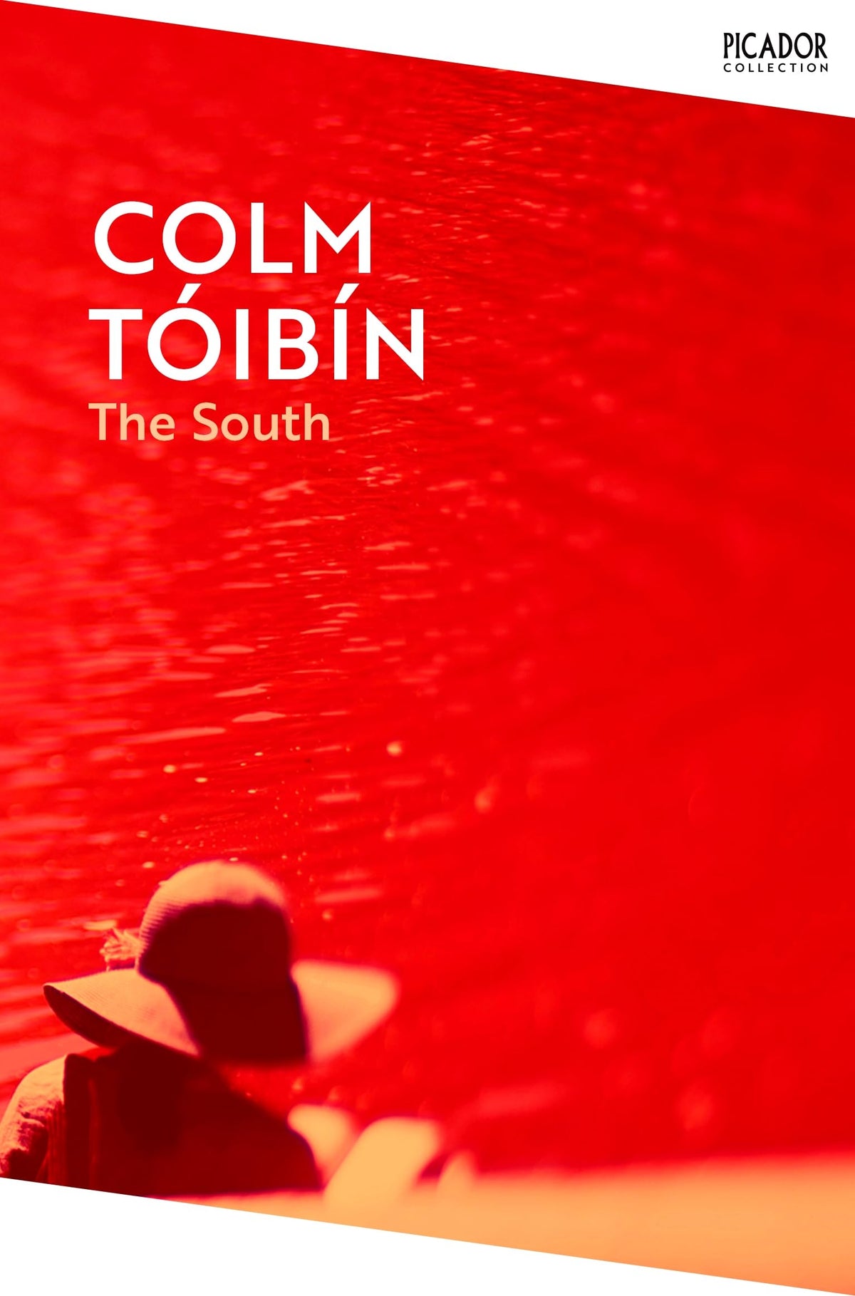 The South (Picador Collection)