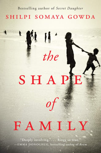 The shape of family: a novel