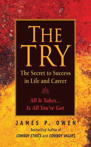 The Try Reclaiming the American Dream