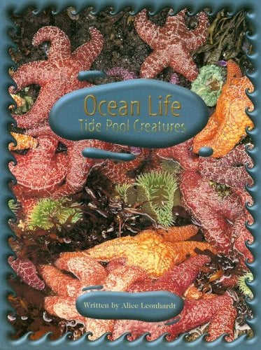 Ocean life: tide pool creatures