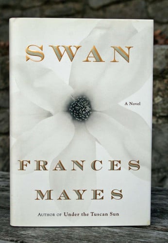 Swan: a novel