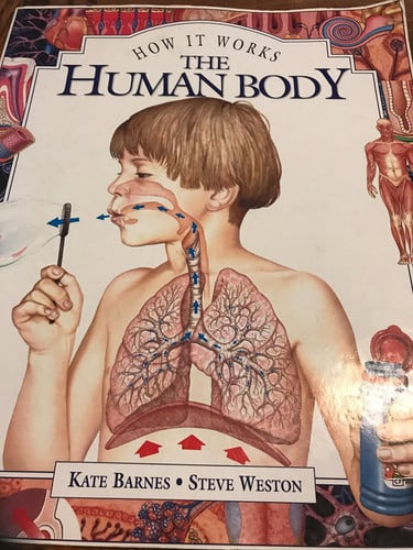The Human Body How it Works