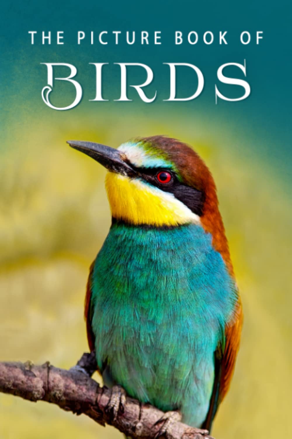 The Picture Book of Birds: A Gift Book for Alzheimer's Patients and Seniors with Dementia (Picture Books - Animals) - 8381