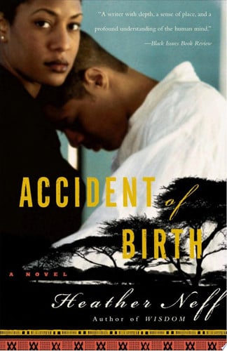 Accident of birth: a novel