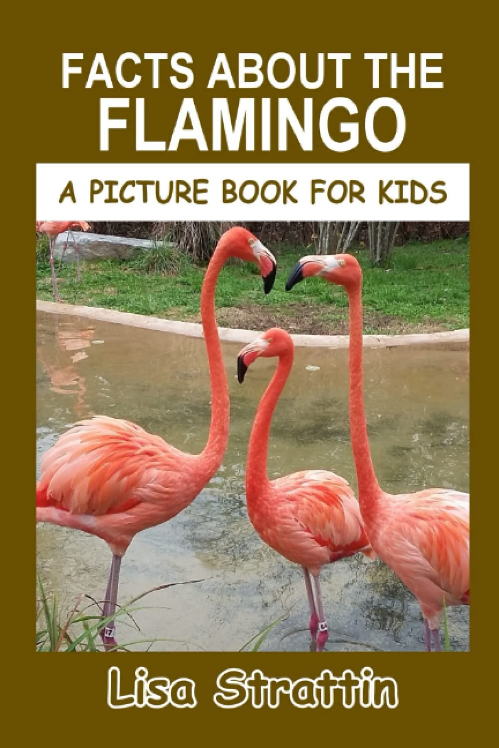 Facts About the Flamingo (A Picture Book For Kids)