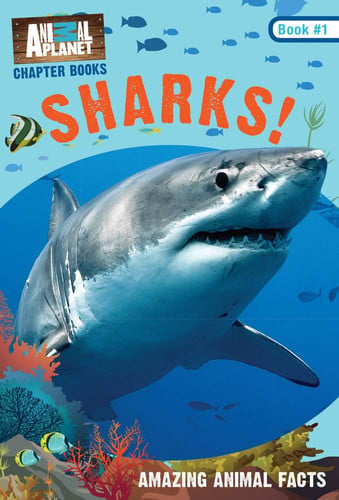 Sharks!