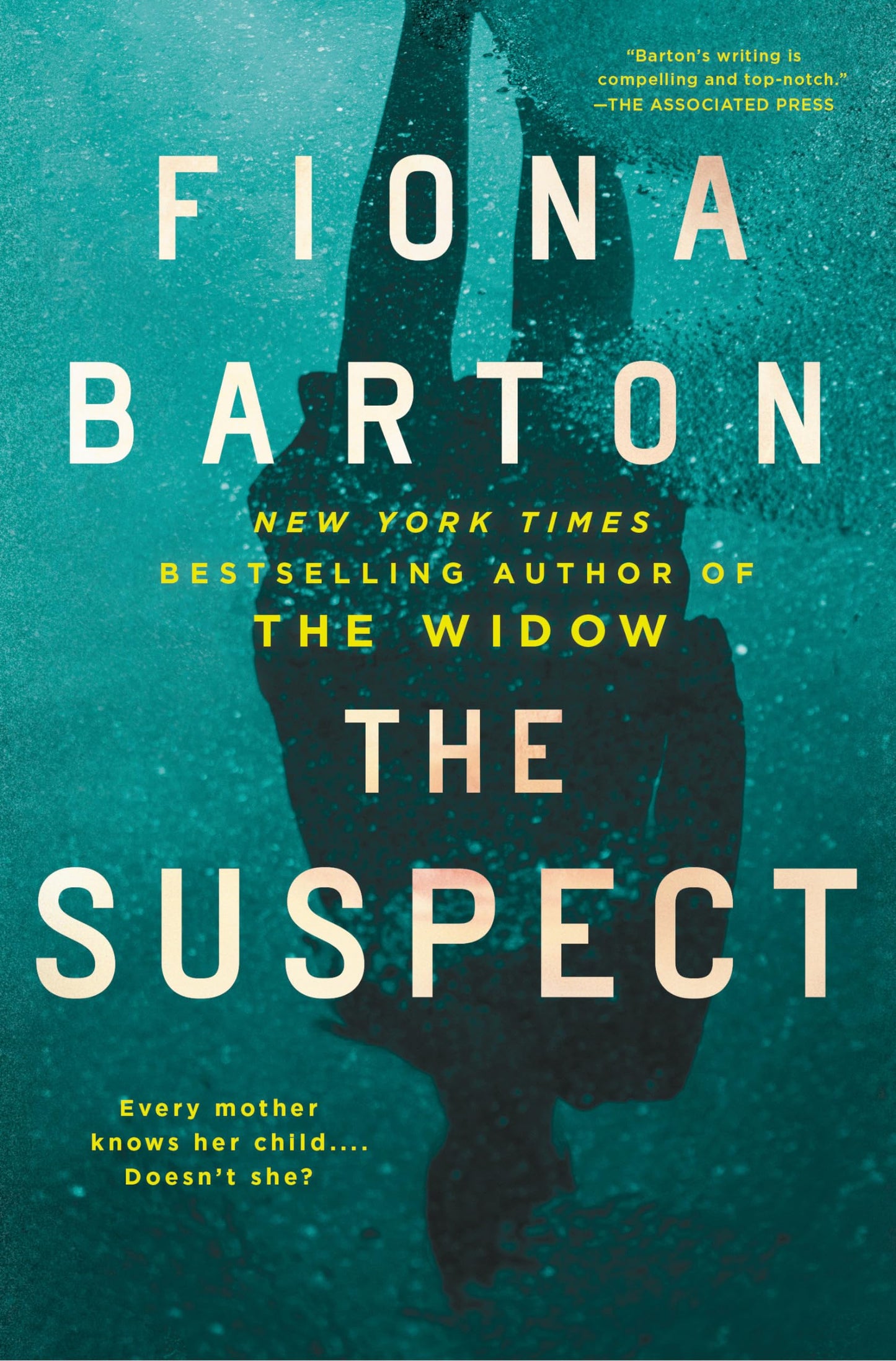 THE SUSPECT