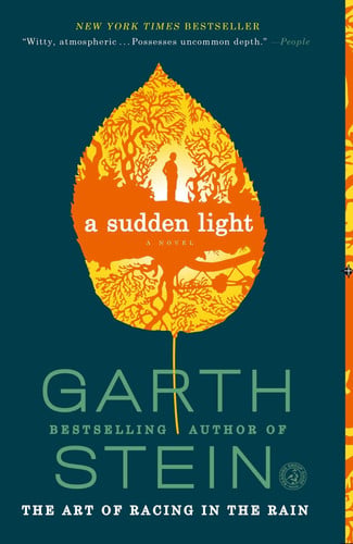 A Sudden Light A Novel