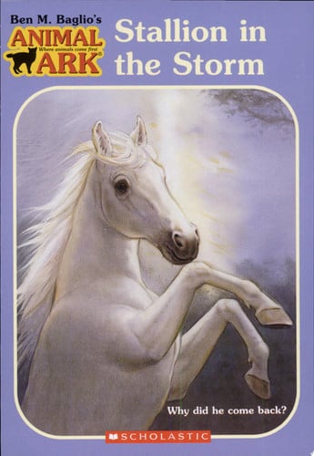 Stallion in the Storm