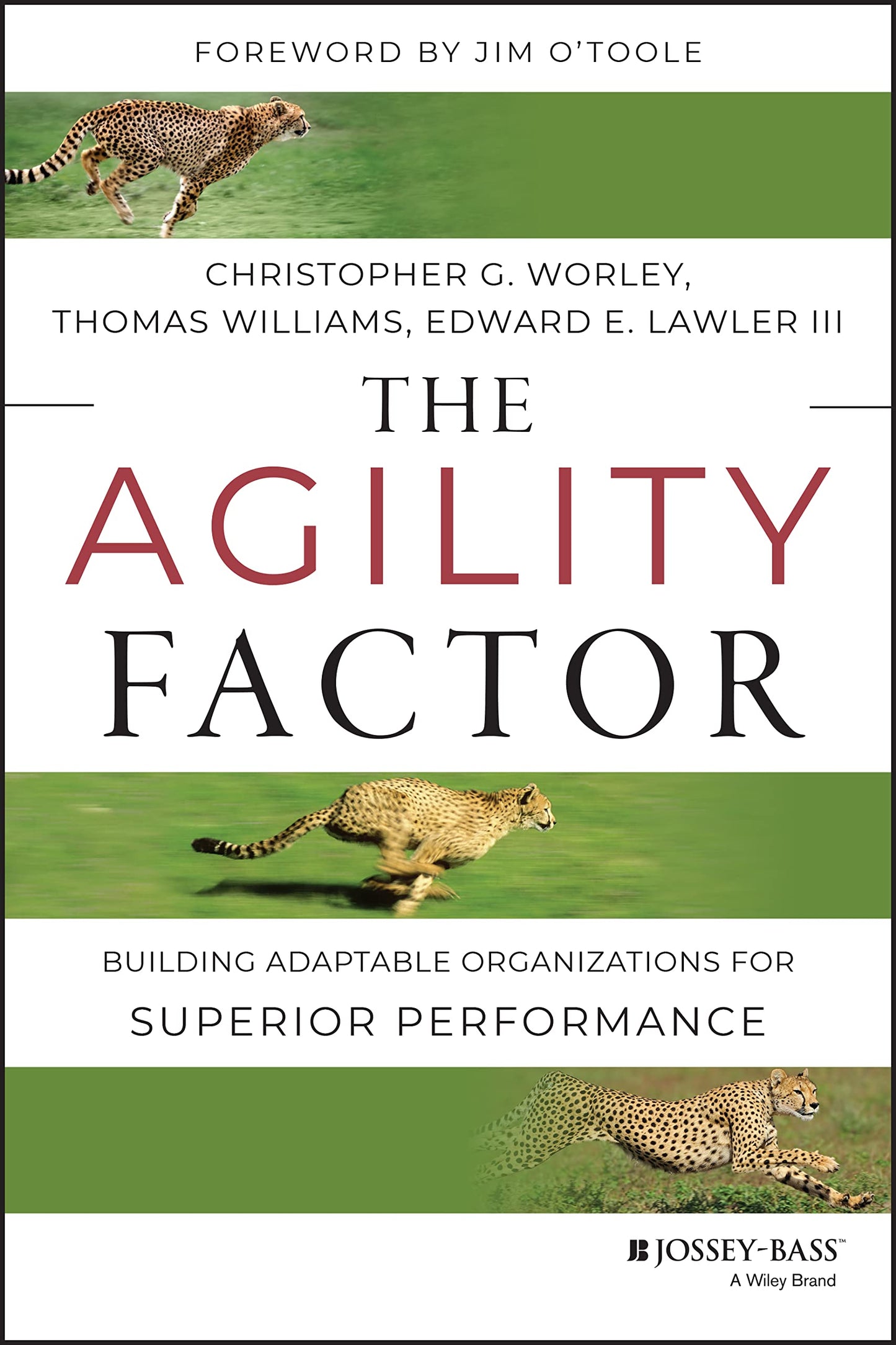 The Agility Factor: Building Adaptable Organizations for Superior Performance