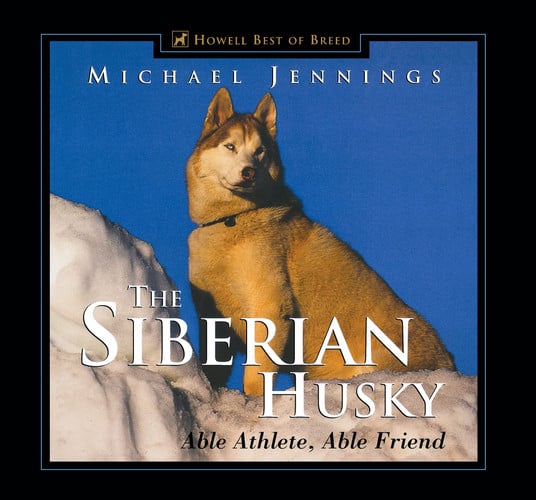 The Siberian husky: able athlete, able friend