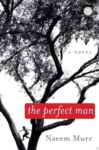 The perfect man: a novel