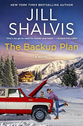 The backup plan: a novel