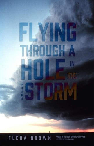 Flying through a hole in the storm: poems