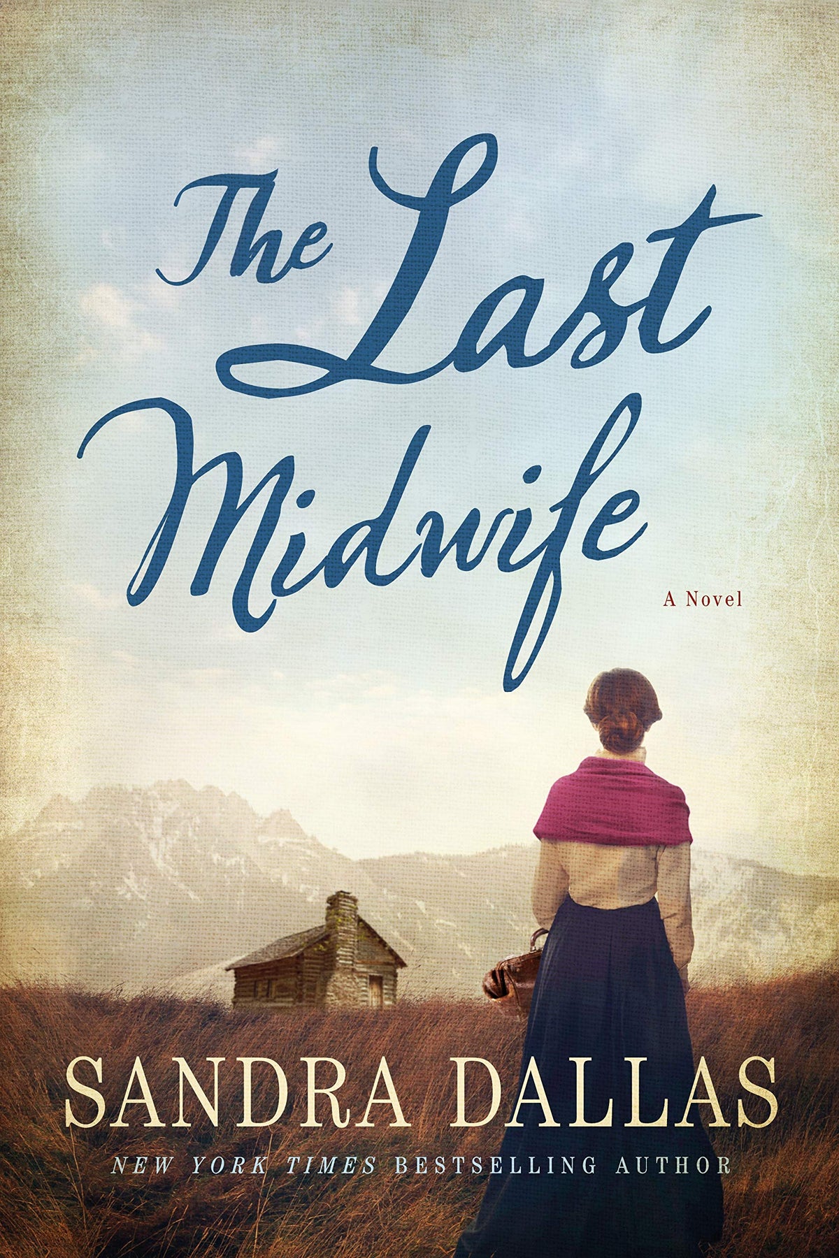 Last Midwife: A Novel