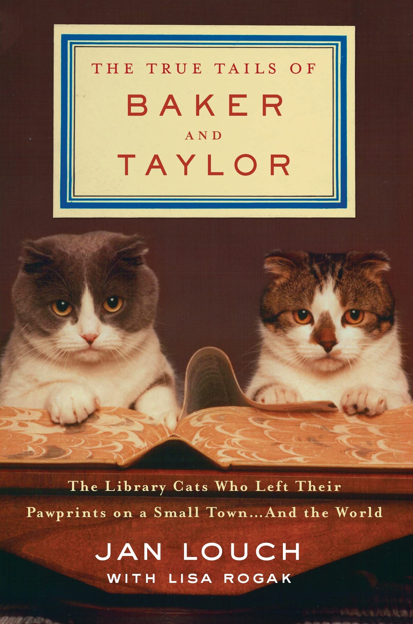 The True Tails of Baker and Taylor: The Library Cats Who Left Their Pawprints on a Small Town . . . and the World