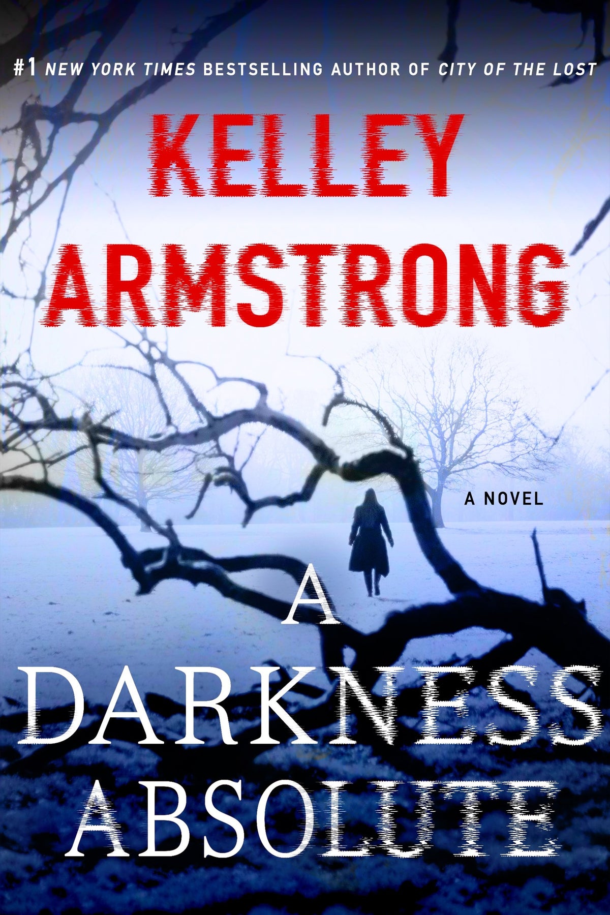 A Darkness Absolute (Casey Duncan Novels, 2)