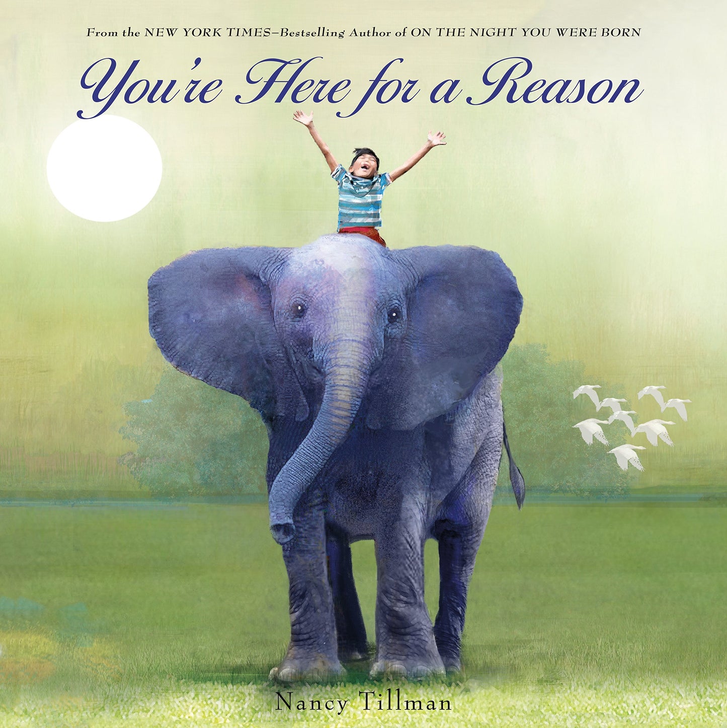 You're Here for a Reason (Nancy Tillman Collection) - 2558
