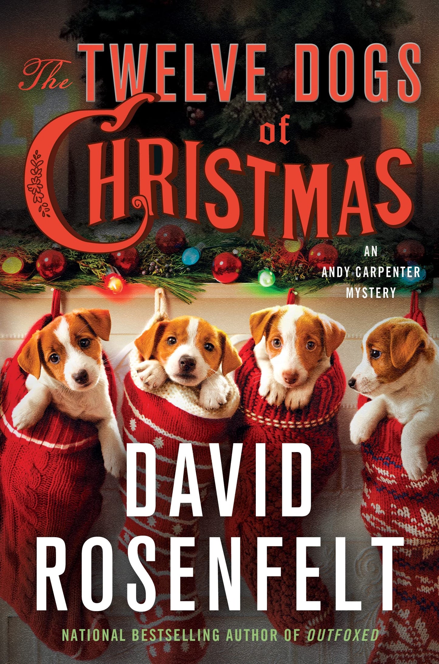 The Twelve Dogs of Christmas: An Andy Carpenter Mystery (An Andy Carpenter Novel, 16) - 8824