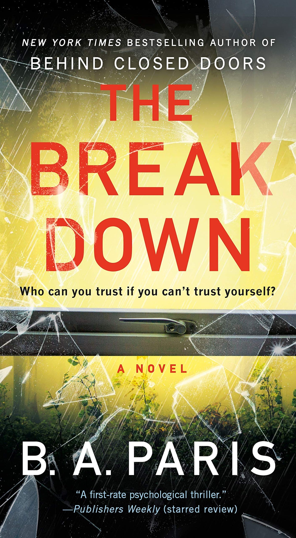 The Breakdown: A Novel