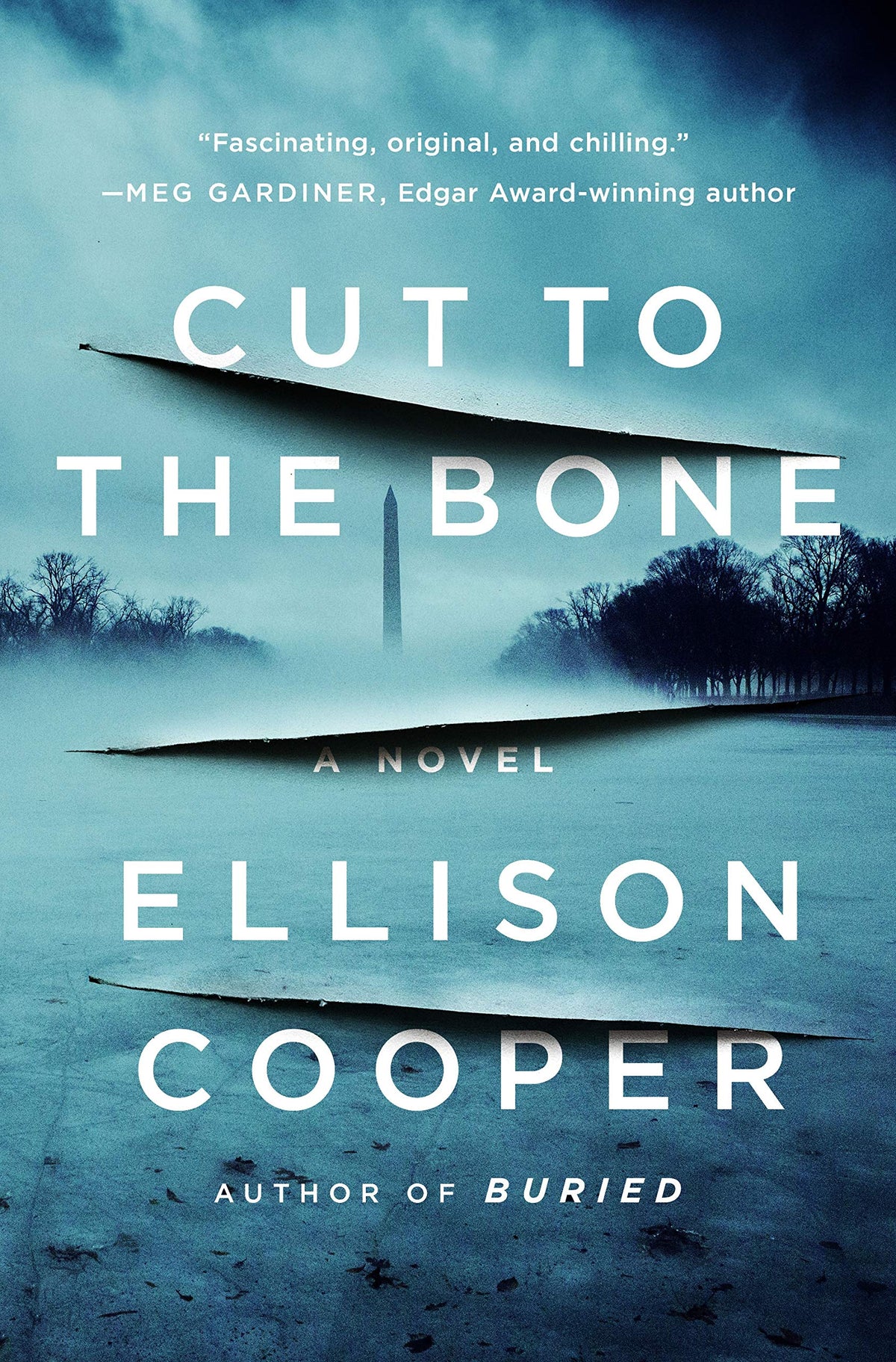Cut to the Bone: A Novel (Agent Sayer Altair, 3)