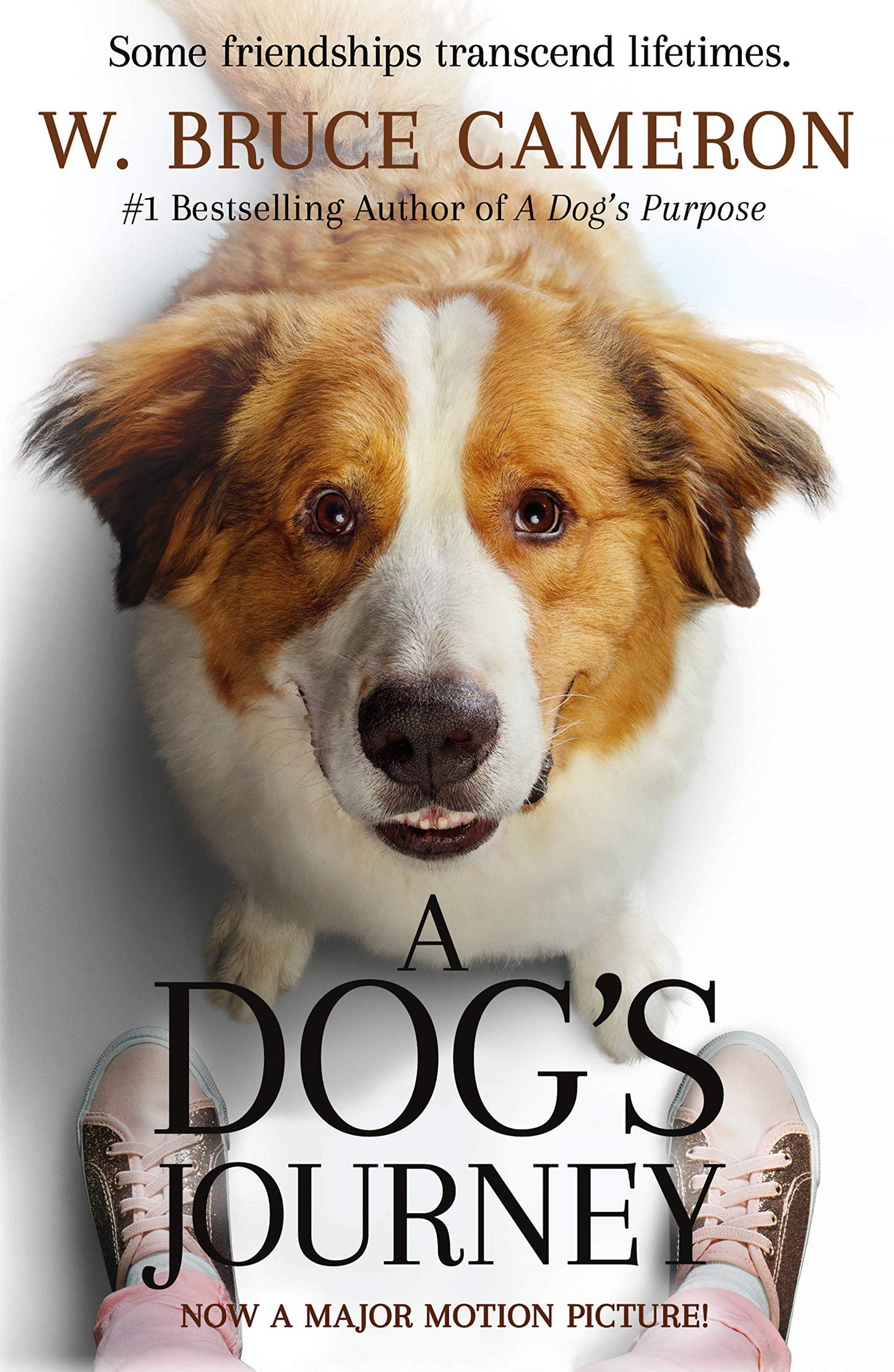 A Dog's Journey Movie Tie-In: A Novel (A Dog's Purpose, 2) - 5137