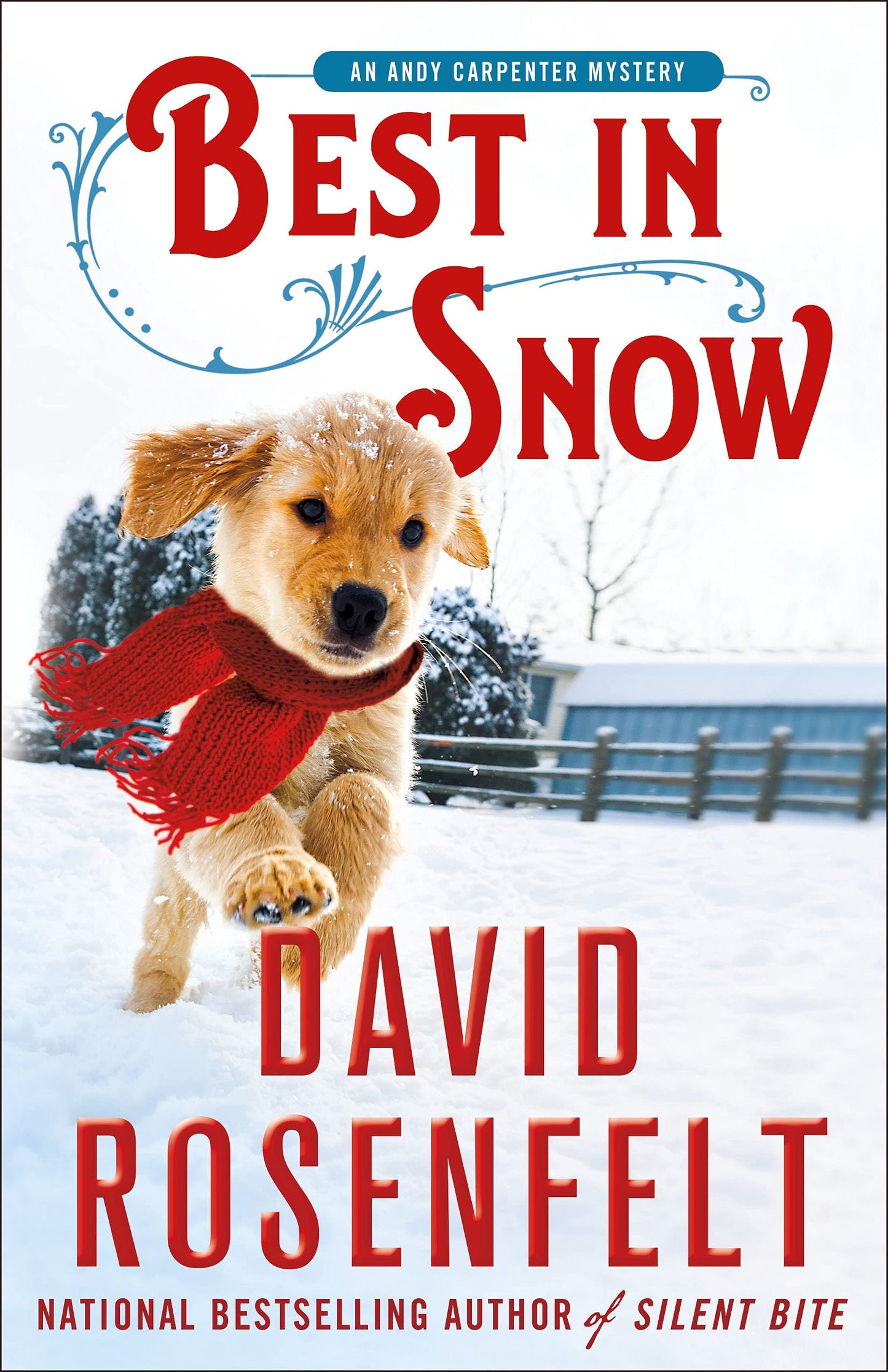 Best in Snow: An Andy Carpenter Mystery (An Andy Carpenter Novel, 24)