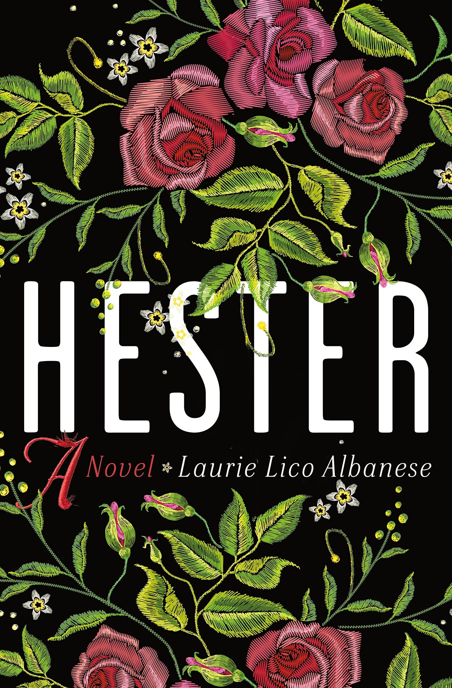 Hester: A Novel - 5520
