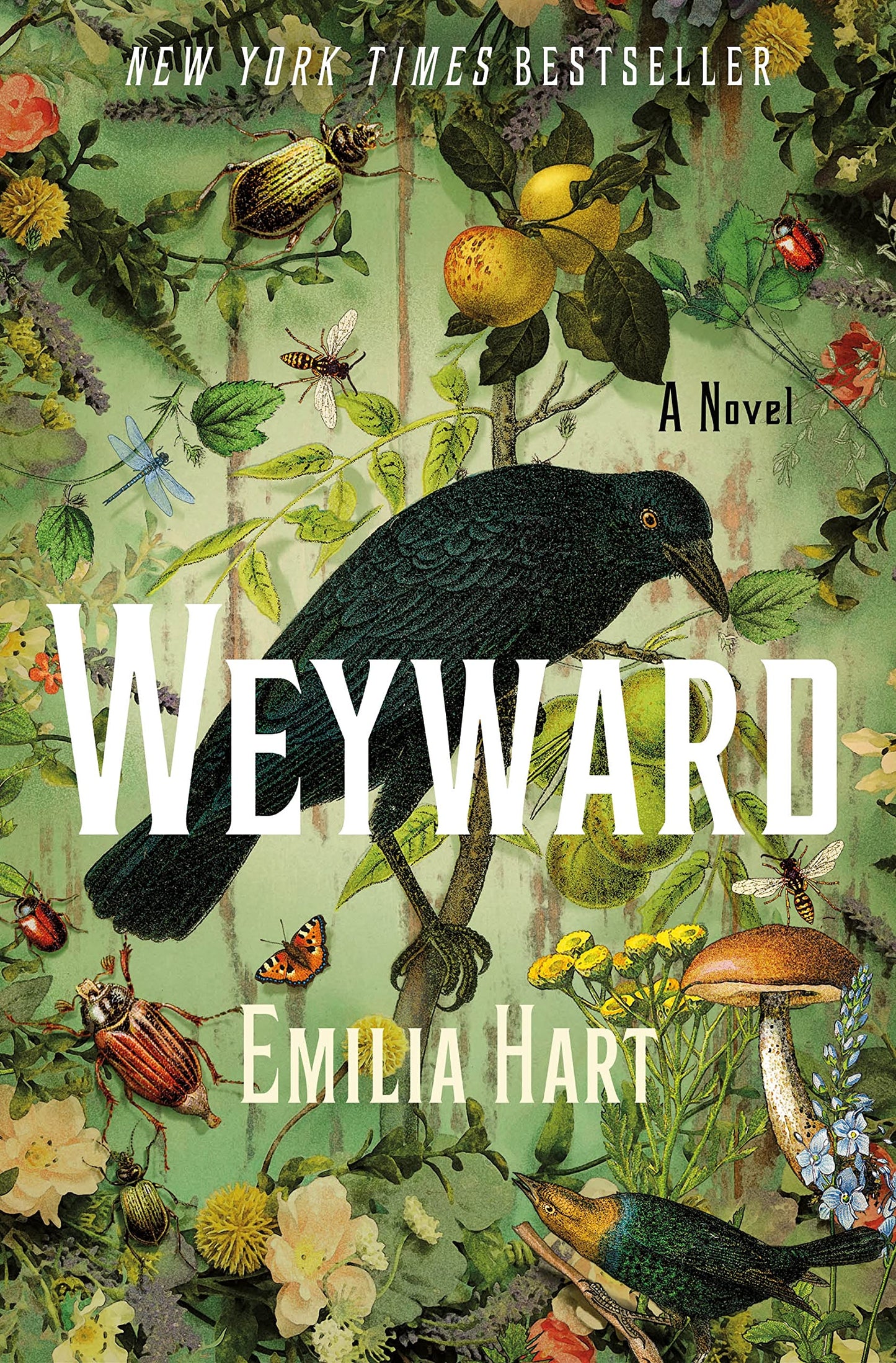 Weyward: A Novel - 9474