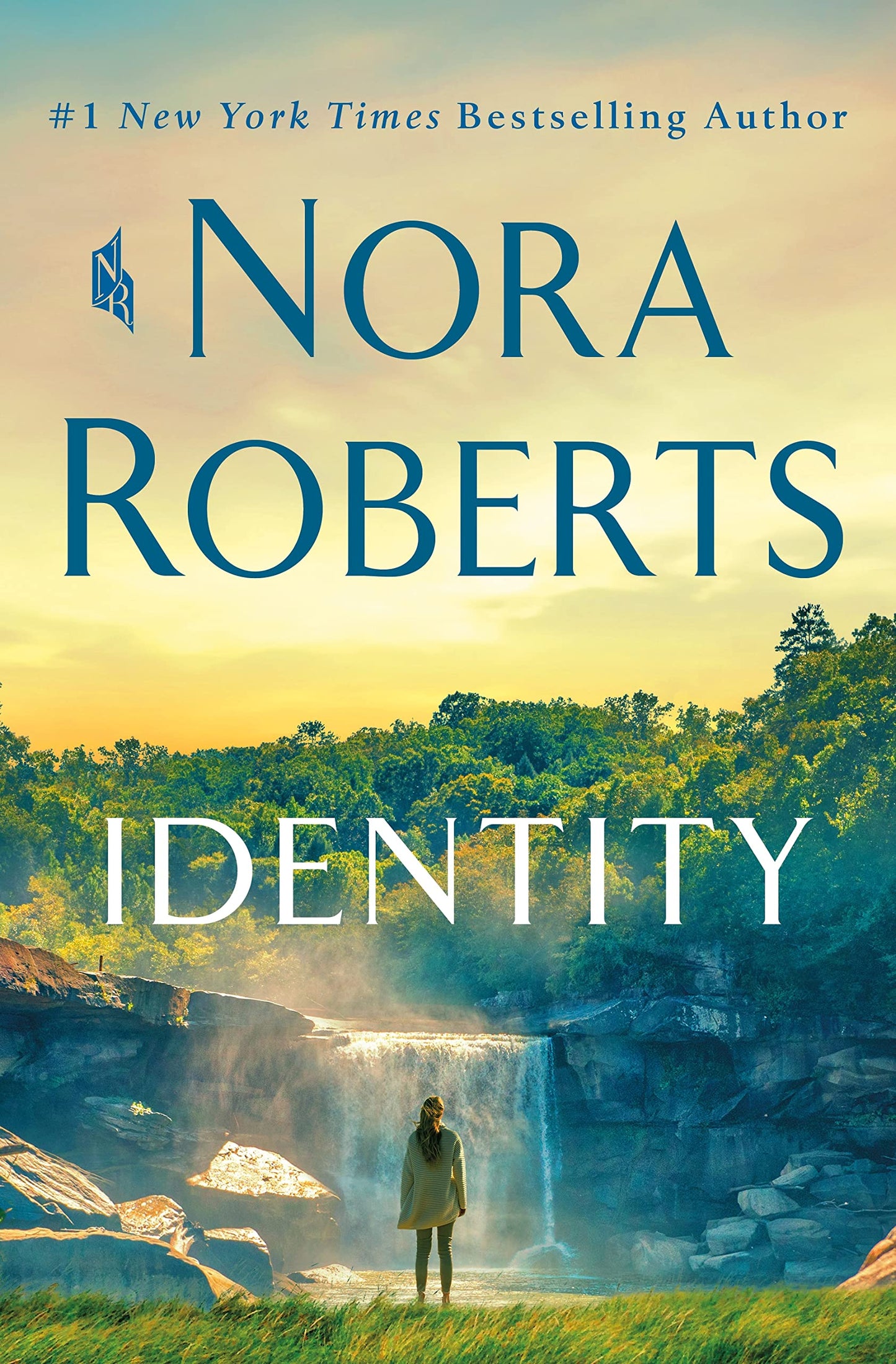 Identity: A Novel - 4566