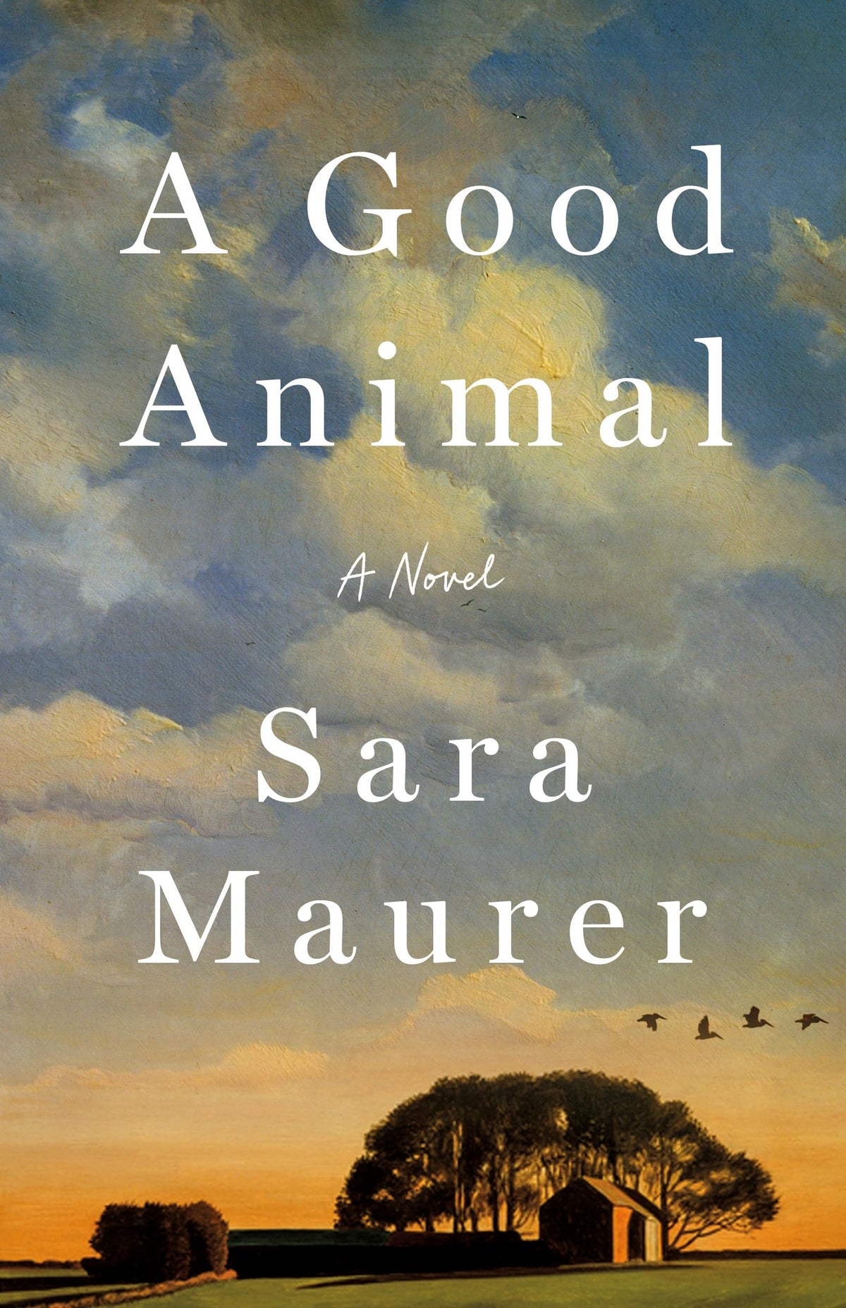 A Good Animal: A Novel
