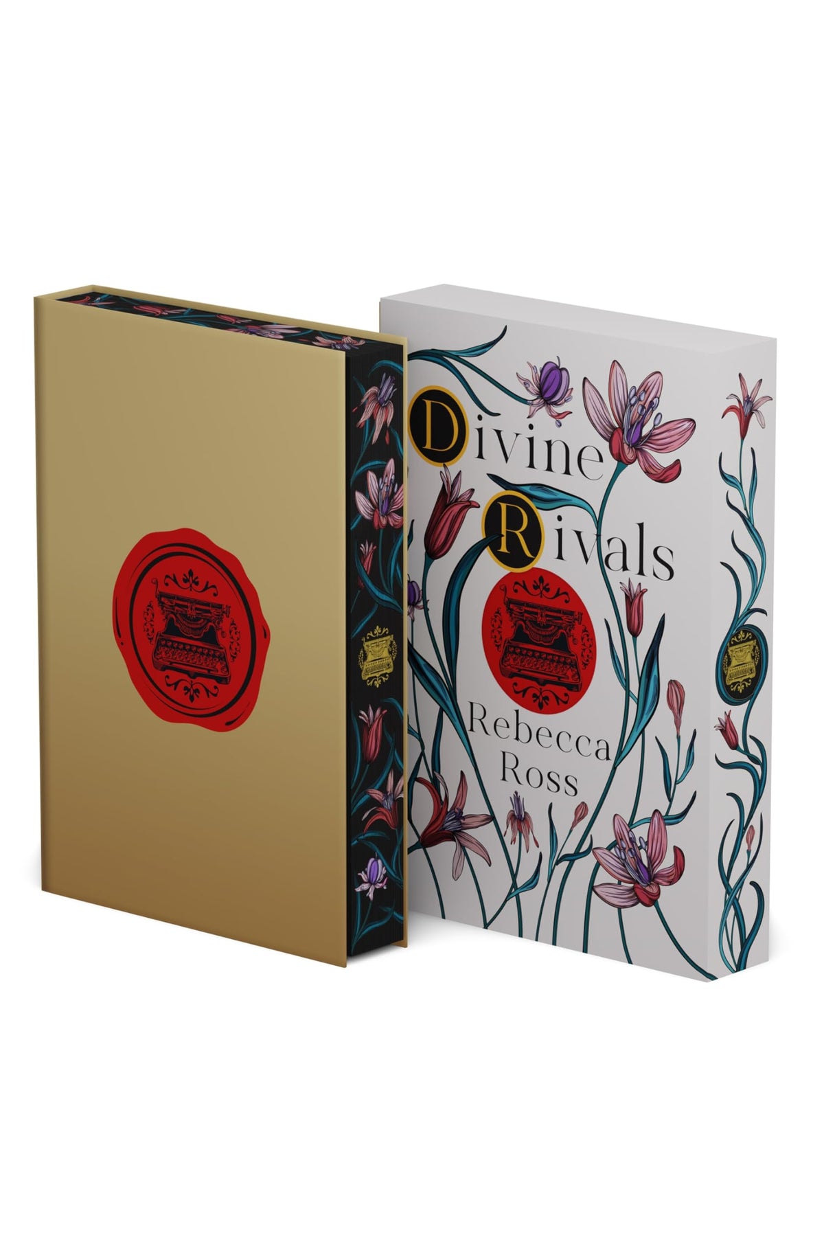 Divine Rivals: Collector's Edition (Letters of Enchantment, 1)