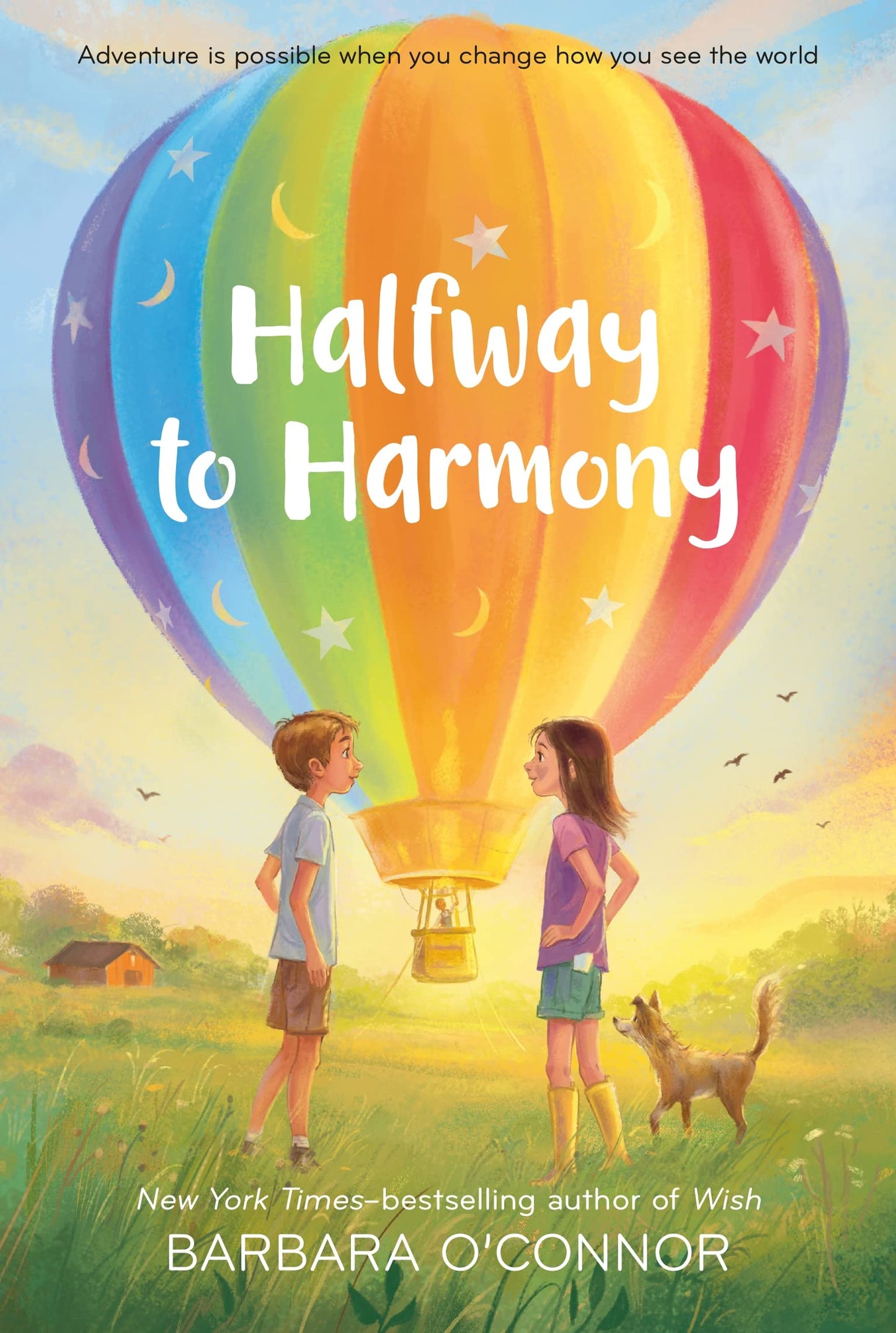 Halfway to Harmony - 9918
