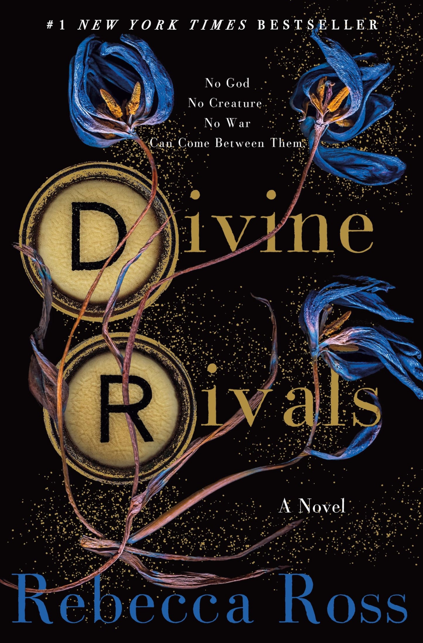 Divine Rivals: A Novel (Letters of Enchantment, 1) - 4454
