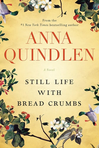 Still life with bread crumbs: a novel
