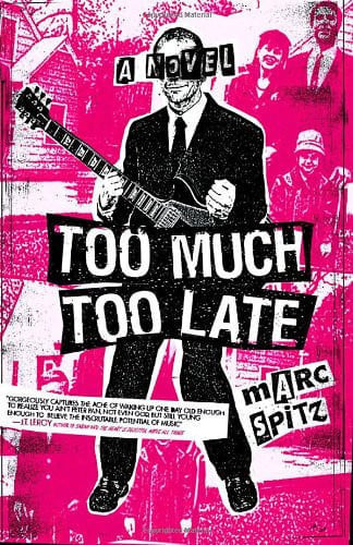 Too much, too late: a novel