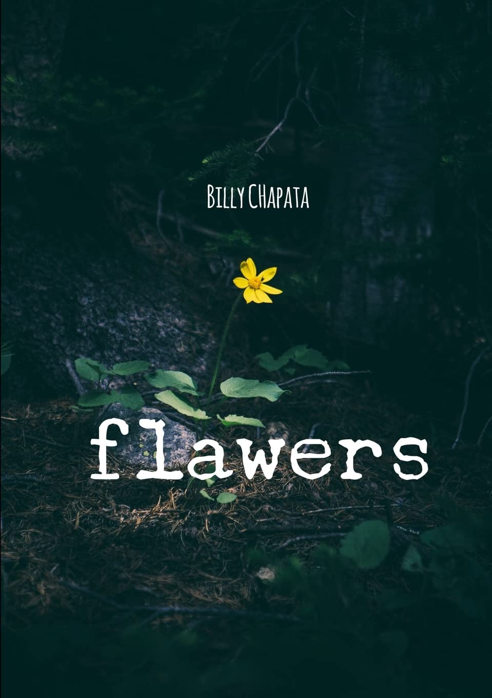 Flawers - 6349