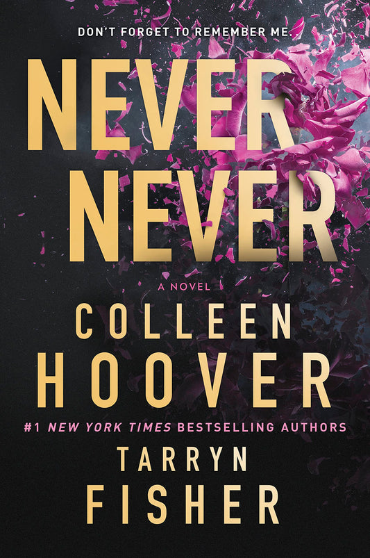 Never Never: A twisty and devastating romantic mystery - 3261