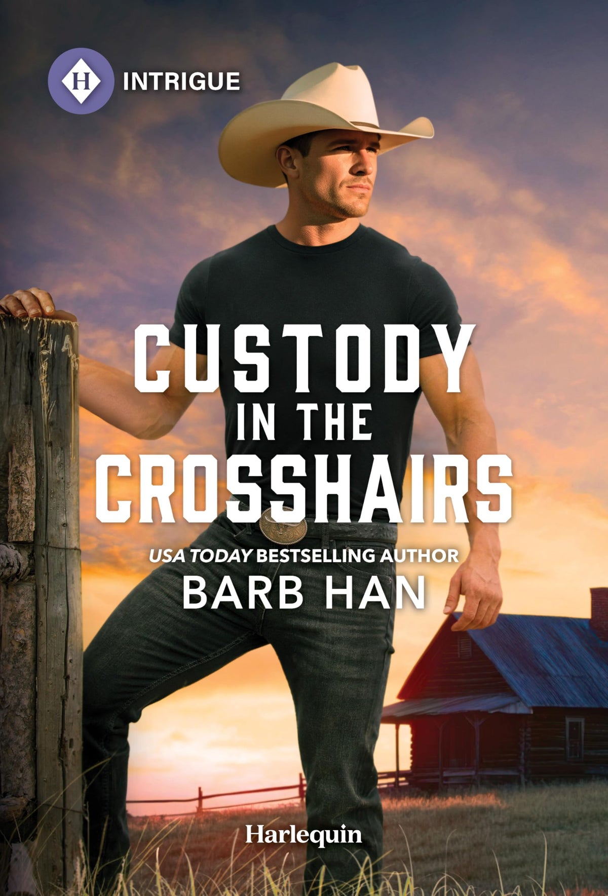 Custody in the Crosshairs (Wilde Country, 1)