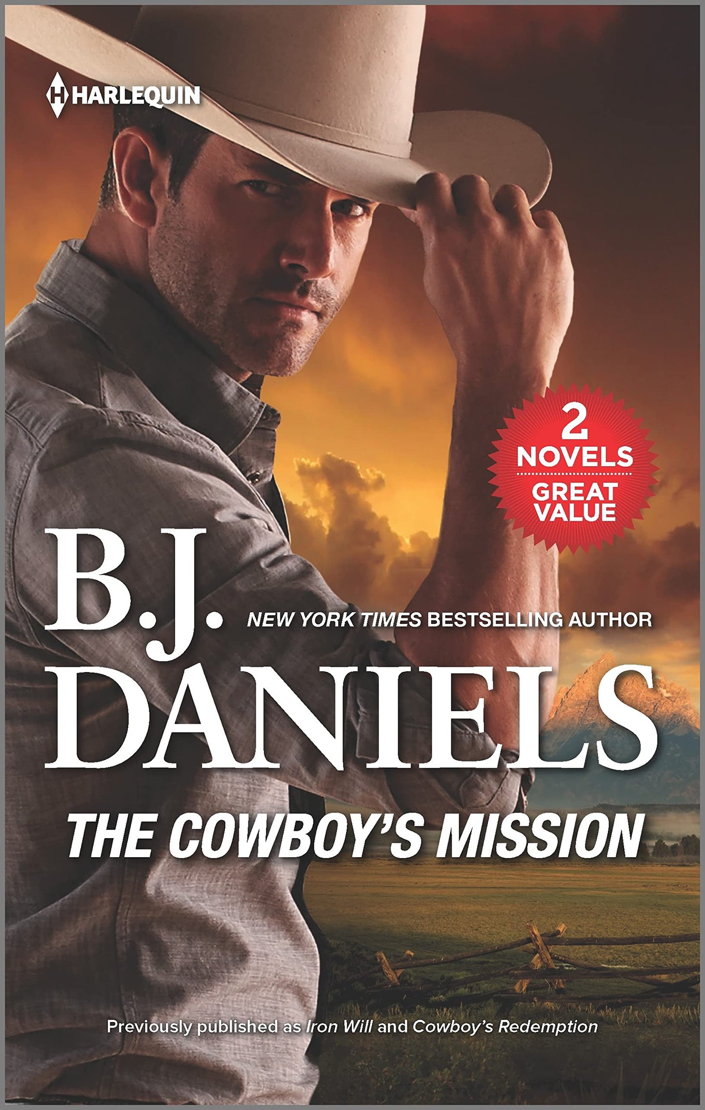 The Cowboy's Mission: A Suspenseful Mystery - 464