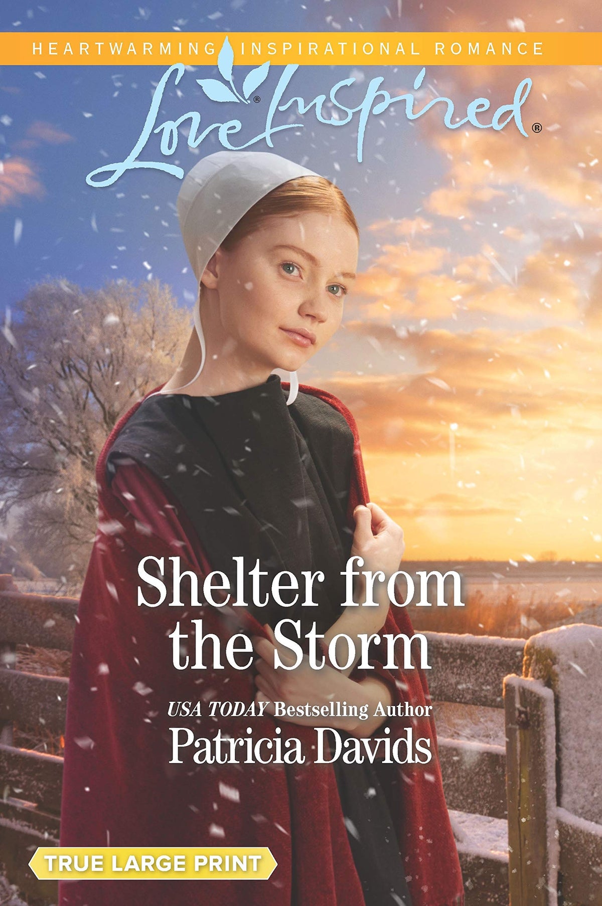 Shelter from the Storm (North Country Amish, 1)