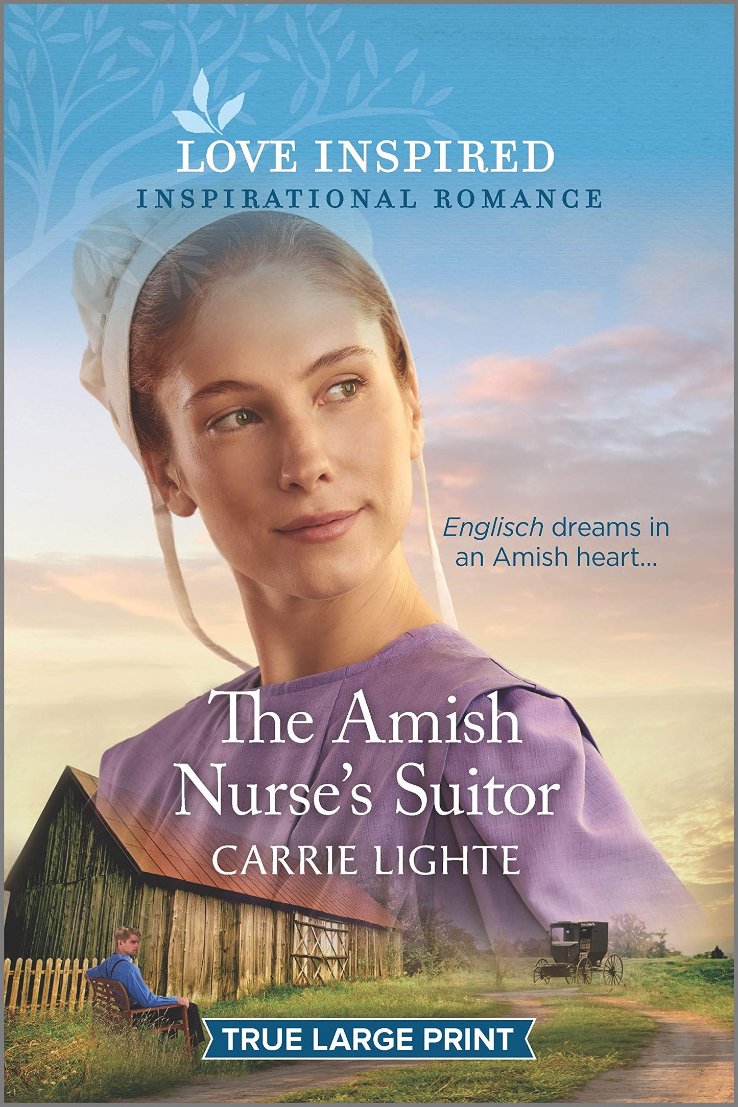 The Amish Nurse's Suitor (Amish of Serenity Ridge, 2)
