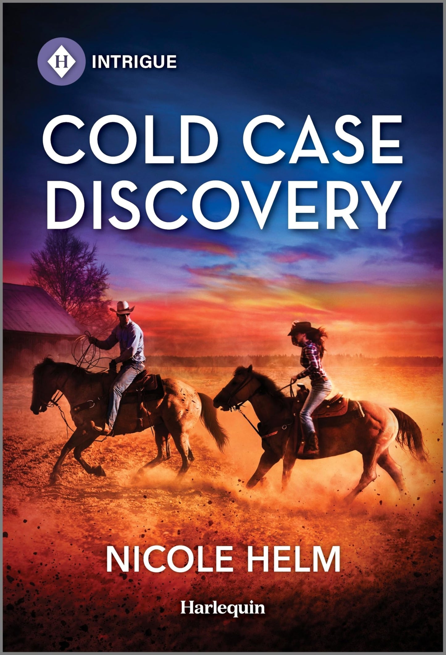 Cold Case Discovery (Hudson Sibling Solutions, 6) - 2149