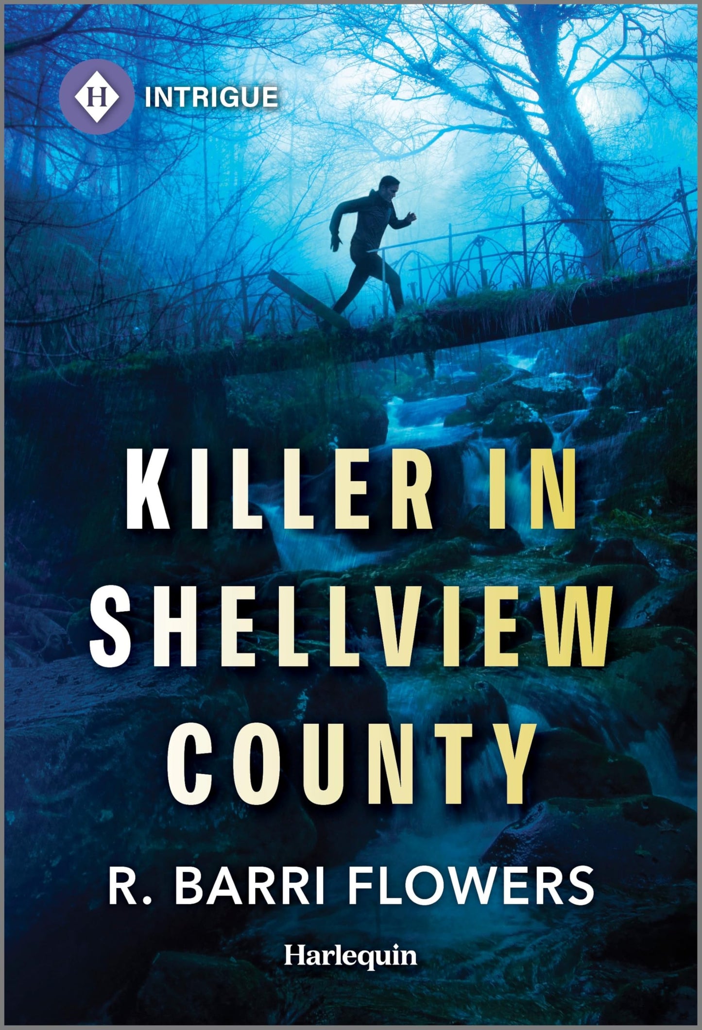 Killer in Shellview County (Bureaus of Investigation Mysteries, 1) - 8728