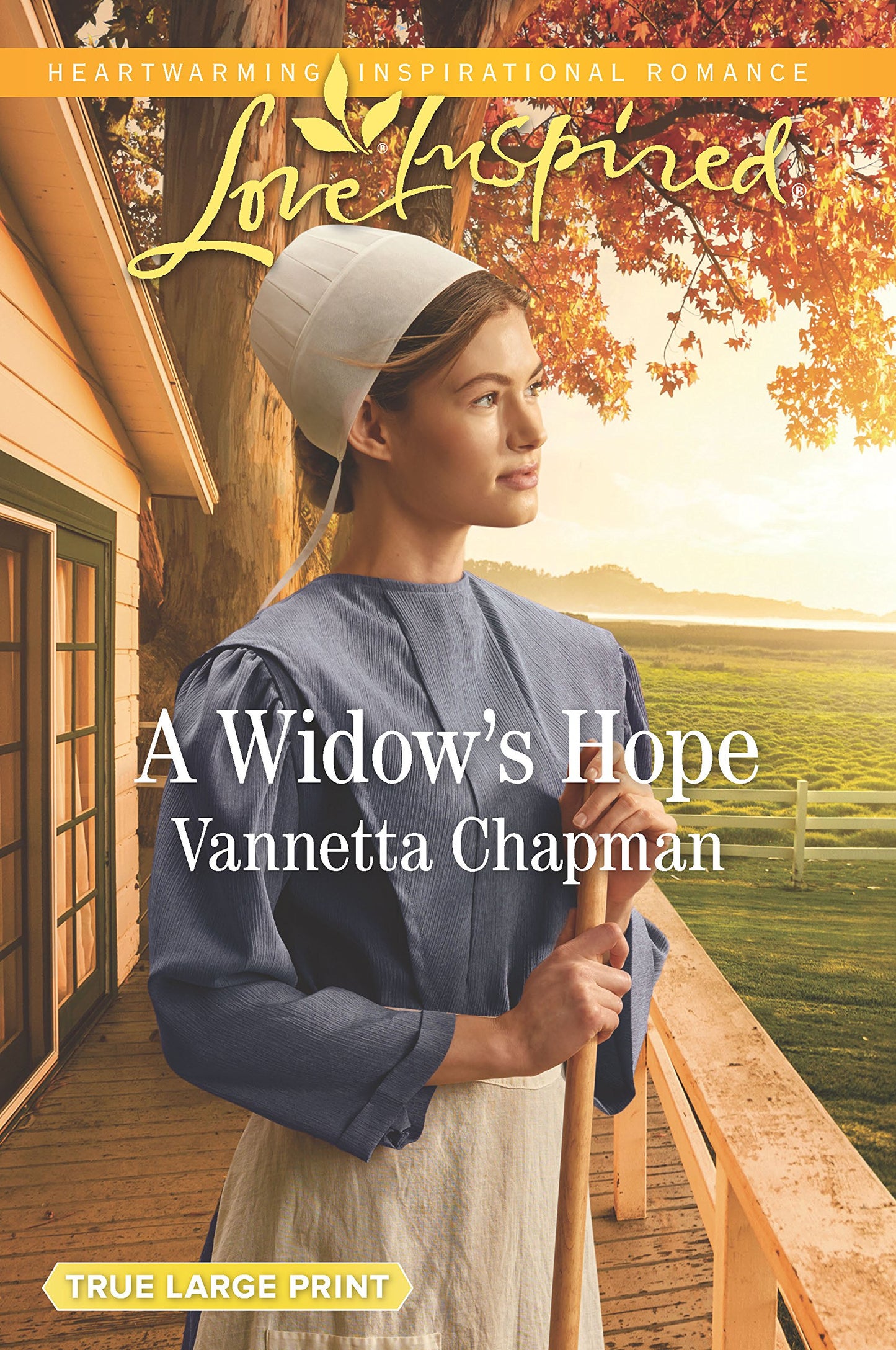 A Widow's Hope (Indiana Amish Brides, 1)