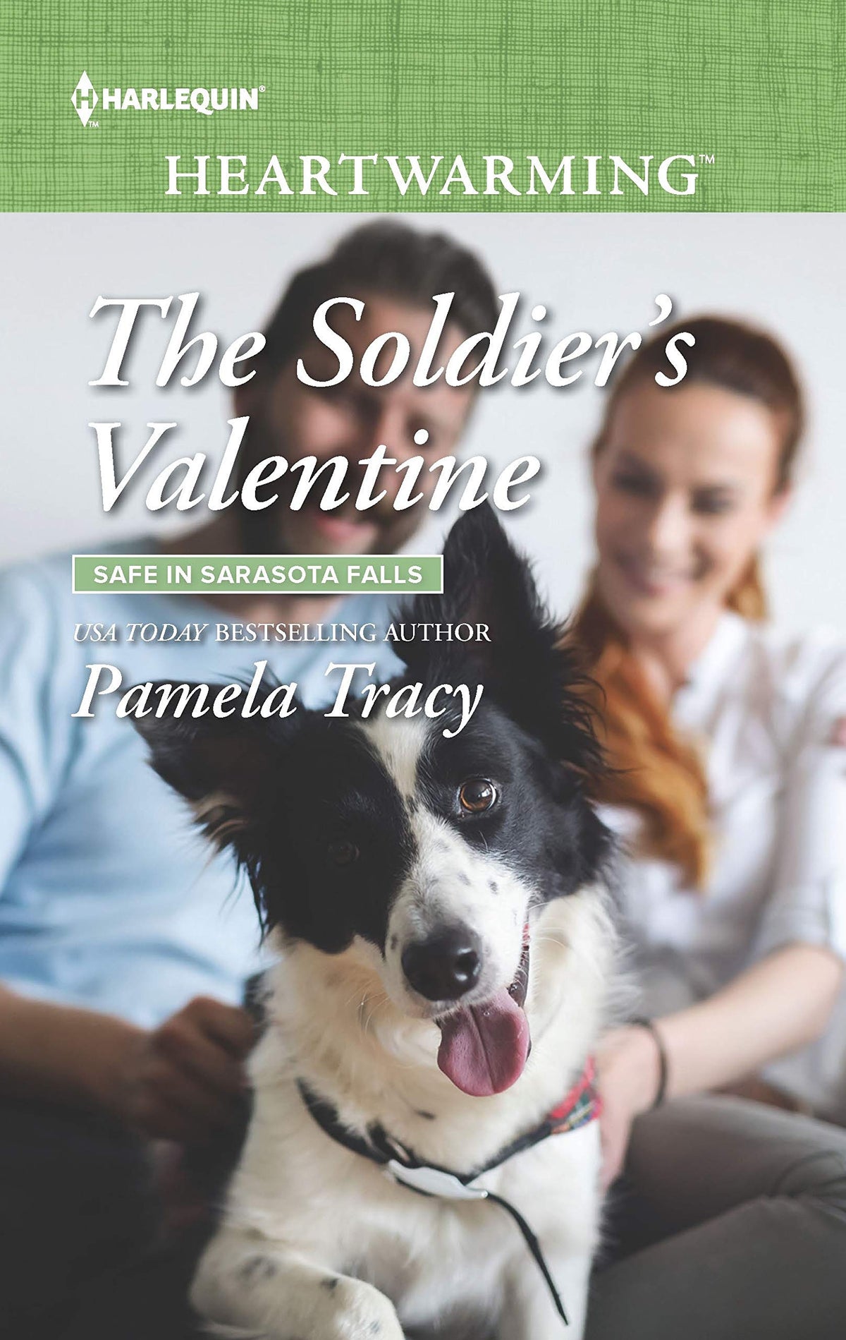 The Soldier's Valentine (Safe in Sarasota Falls, 3)